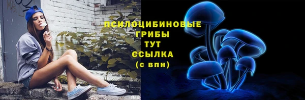прущие крисы Абаза