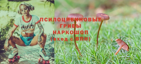 2c-b Абдулино
