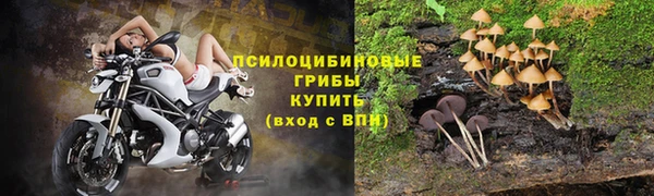 крисы Нягань