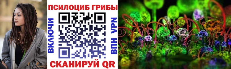Галлюциногенные грибы Magic Shrooms Струнино
