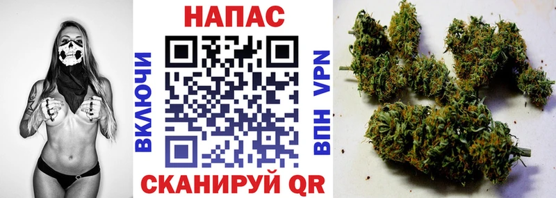 Канабис ГИДРОПОН Струнино